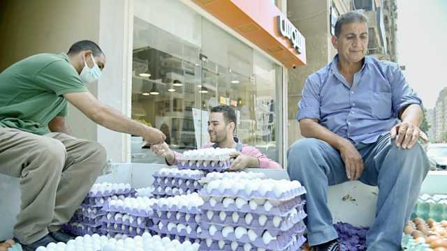«منتجي الدواجن»: إنتاج الدجاج وبيض المائدة مطمئن وننتج 100 مليون فرخة ونصيب الفرد 100 بيضة سنوياً