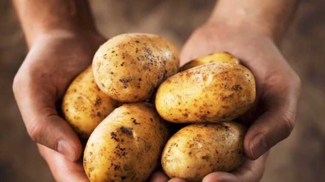 سعر البطاطس اليوم في سوق العبور.. «اعرف وصل كام»