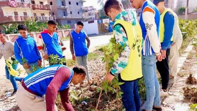 حملات مكبرة لصيانة المتنزهات وزراعة الأشجار بالإسماعيلية