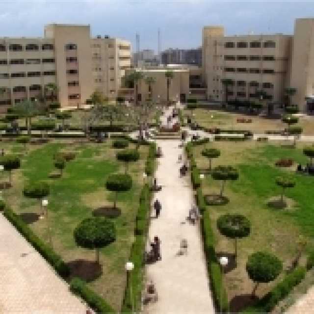 تنسيق الجامعات 2023.. تفاصيل قسم الوثائق والمكتبات بـ«آداب المنصورة»