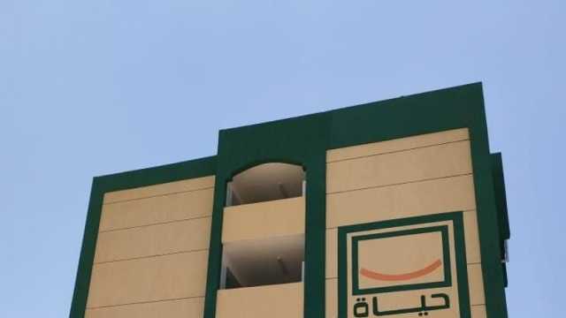 محافظة الدقهلية: دعيم شبكات الكهرباء بخطوط إضافية جديدة
