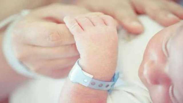 «معلومات الوزراء» يوضح تفاصيل متوسط أعداد مواليد مصر.. كل 16 ثانية طفل