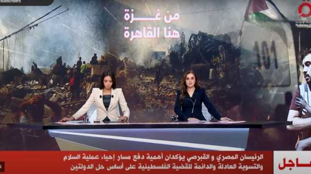 الرئيس السيسي ونظيره القبرصي يؤكدان على أهمية التسوية العادلة للقضية الفلسطينية
