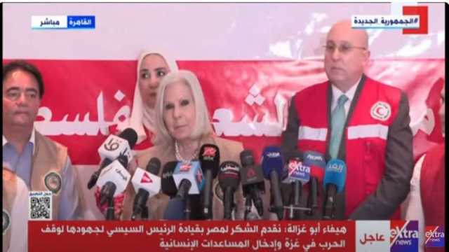 مسؤول بالجامعة العربية: نشكر الرئيس السيسي على جهوده لإدخال المساعدات إلى غزة