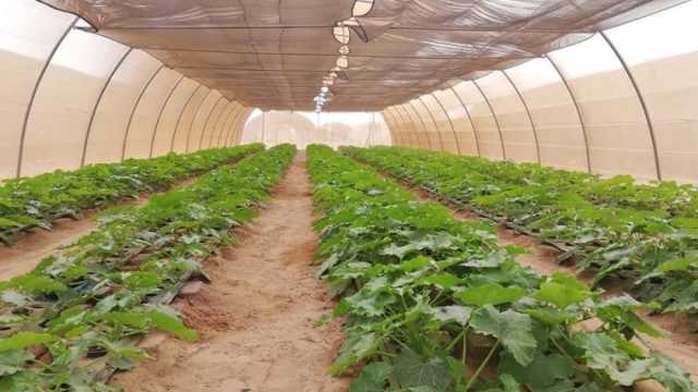 «وادي حوضين» بالبحر الأحمر يحصد المركز الأول للمشروعات الخضراء الذكية