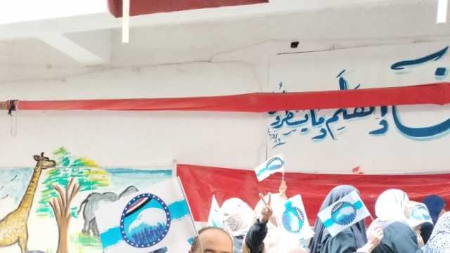 عضو بـ«النواب»: الإقبال على الانتخابات الرئاسية «رد جميل» للقيادة السياسية