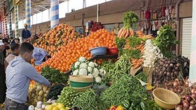 أسعار الخضراوات والفاكهة في الأسواق اليوم.. استقرار ملحوظ