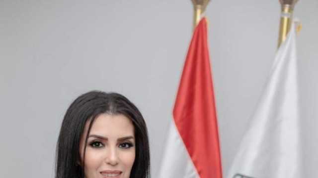 أمين سر «التنسيقية»: نتعاون مع «القومي للأمومة والطفولة» لإعداد «استراتيجية وطنية»