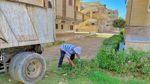 حملات تنظيف بمصيف بلطيم بكفر الشيخ استعدادا لموسم الشتاء