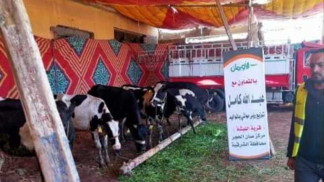 تسليم 17 رأس ماشية للأسر الأولى بالرعاية في قرية «اللبشة» بالشرقية 