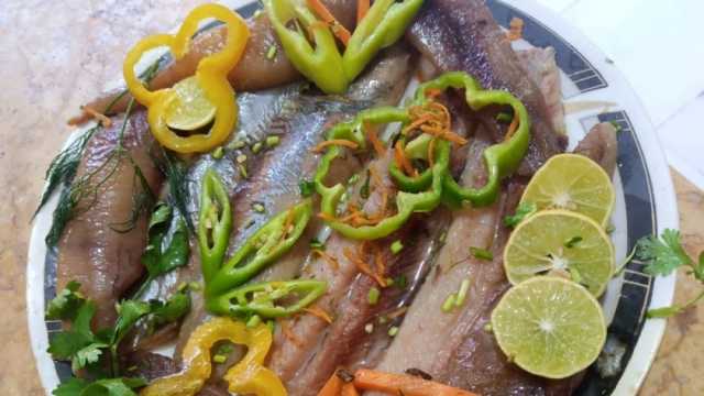 تعرف على السعرات الحرارية الموجودة في الفسيخ والرنجة.. «عشان وزنك ما يزيدش»