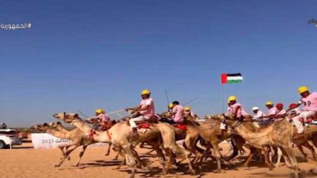 تفاصيل انطلاق مهرجان العلمين الثالث للهجن بمشاركة 900 متسابق