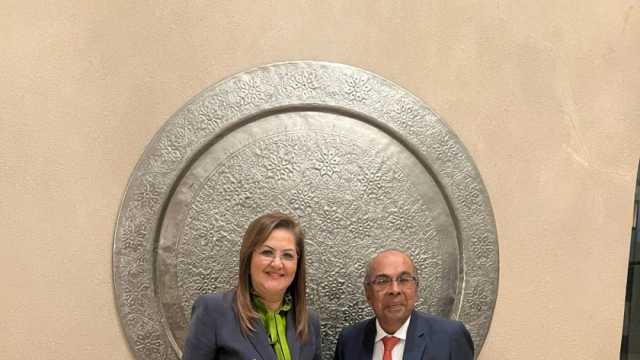 وزيرة التخطيط تبحث فرص الاستثمار مع مجموعة «هندوجا» الهندية