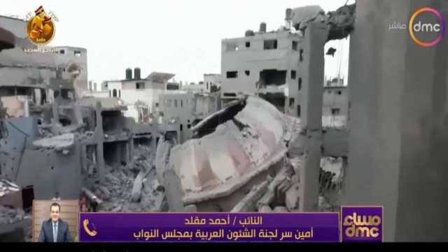 برلماني: جرائم الاحتلال الإسرائيلي في حق الفلسطينيين ترقى للإبادة العرقية