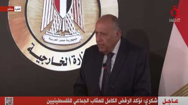 سامح شكري: الوضع الحالي في غزة يقتضي إنهاء الصراع ودوائر العنف فورا
