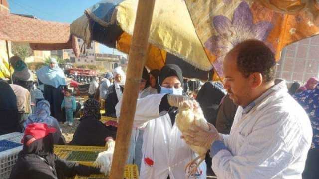 تحصين 194 ألف طائر ضد مرض إنفلونزا الطيور في الشرقية
