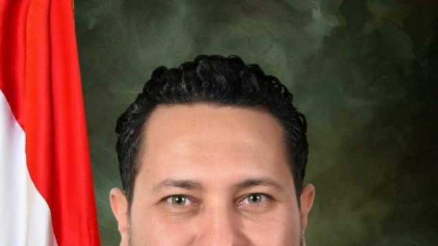 برلماني: كلمة الرئيس السيسي بمجلس الأمن تؤكد دور مصر التاريخي تجاه فلسطين
