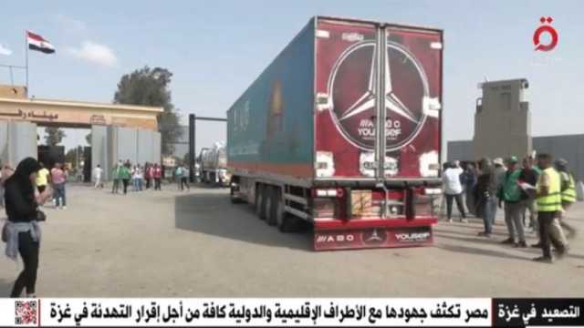 لم تتخل يوما عن القضية الفلسطينية.. جهود مصر متواصلة لوقف العدوان على غزة