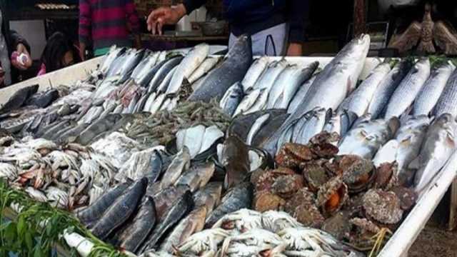 أسعار السمك والجمبري اليوم الأربعاء 12-6-2024 في الأسواق