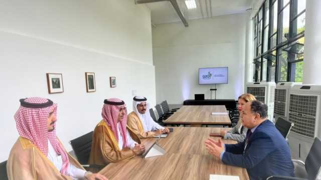 وزير المالية: نتطلع إلى زيادة الاستثمارات السعودية في مصر