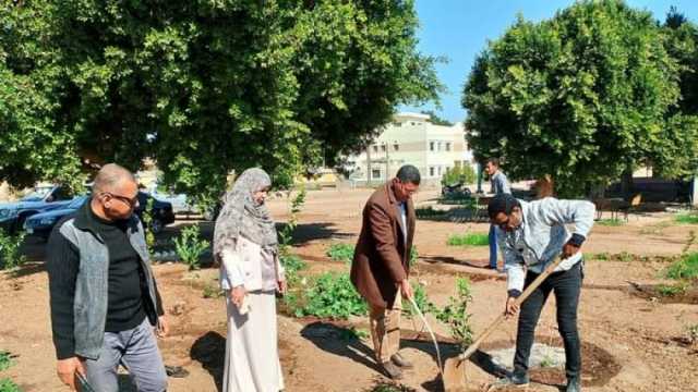 محافظ أسيوط: حملات للتشجير وزراعة شتلات في مركز البداري