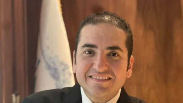 شعبة المستوردين: الانتخابات تعكس صورة الشعب المصري أمام العالم