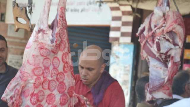 «الزراعة»: طرح اللحوم الحمراء في منافذ الوزارة بـ150 جنيها للكيلو