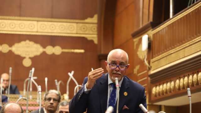 عضو مجلس الشيوخ يثمن توجيهات الرئيس السيسي بحل أزمة الكهرباء: يشعر بالمواطن