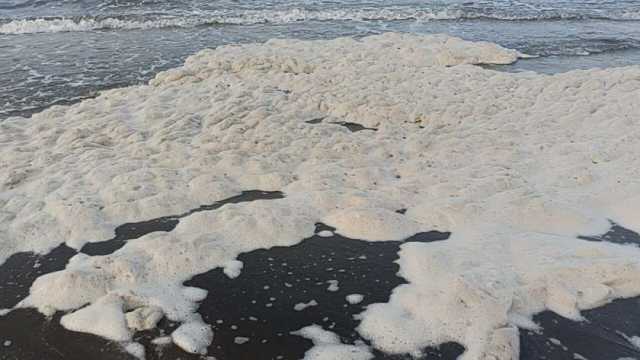 استمرار زبد البحر يحير أهالي بورسعيد.. وخبير: إعصار دانيال ودرجات الحرارة السبب