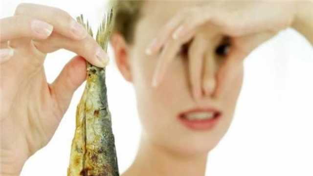 أسباب فساد تمليح الفسيخ.. احذري كمية الملح في الخياشيم