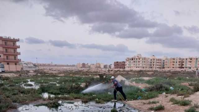 تكثيف حملات مكافحة الحشرات والقوارض في مدن مطروح