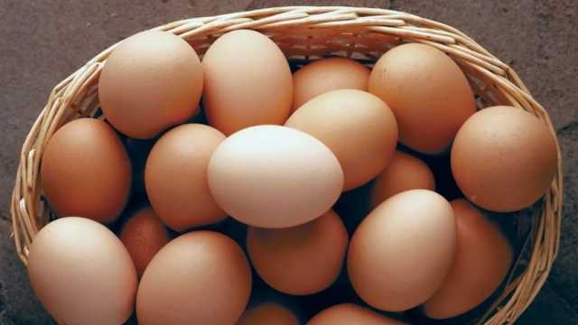 سعر البيض اليوم الأحد 16-6-2024 في مصر.. «الطبق بكام؟»
