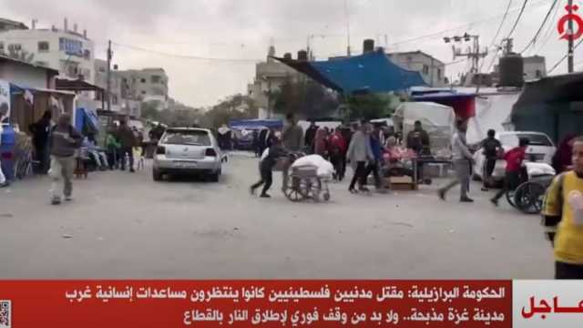 الحكومة البرازيلية: مقتل مدنيين فلسطينيين أنثاء انتظار المساعدات جريمة