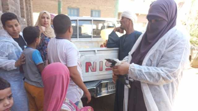 «بيطري قنا»: مناظرة 457 رأس ماشية في قافلة بيطرية مجانية بنقادة