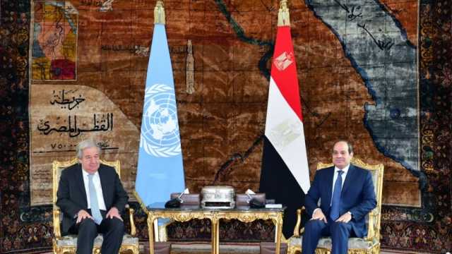 الرئيس السيسي يشدد على خطورة قطع بعض الدول دعمها لـ«أونروا»