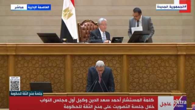 وكيل مجلس النواب: البيئة التشريعية الداعمة للتنمية تسهم في تعزيز الاستقرار