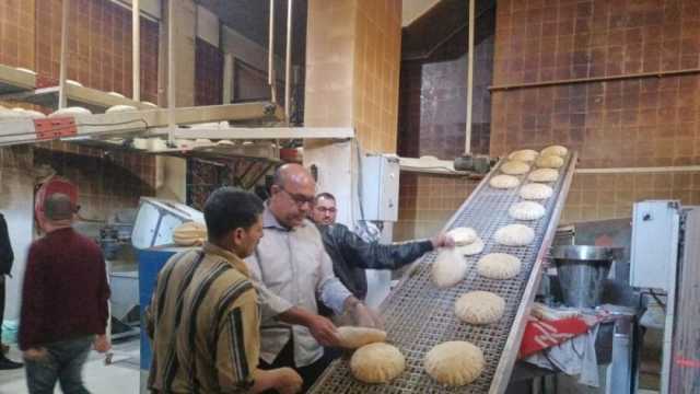 تحرير 29 محضرا متنوعا ضد أصحاب المخابز المخالفة في دسوق بكفر الشيخ
