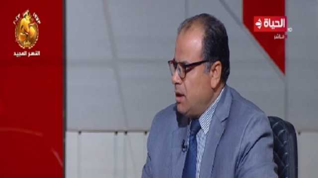 خبير استراتيجي: المشروع المصري يحتاج إلى الأمن والاستقرار