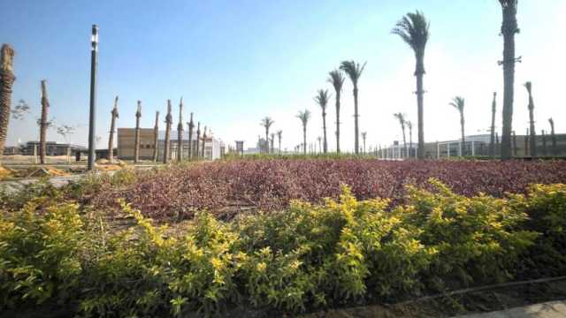 رئيس «التنمية الحضرية»: «مدبولي» يعتبر إحياء حدائق تلال الفسطاط مشروع حياته