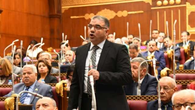 النائب سيد حجازي عن ذكرى نصر أكتوبر: مصدر عزة وكرامة للأمة العربية