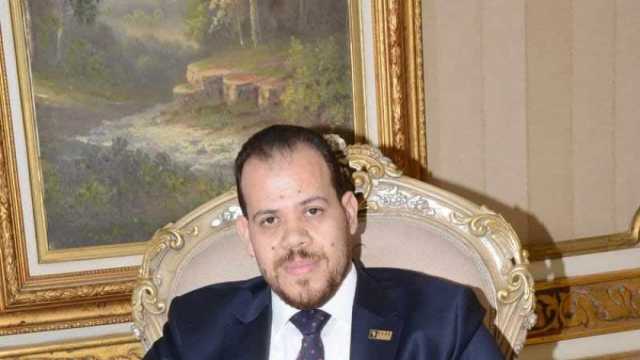 «المصريين الأفارقة»: برنامج الحكومة به إرادة حقيقية لانطلاق نحو الاستدامة