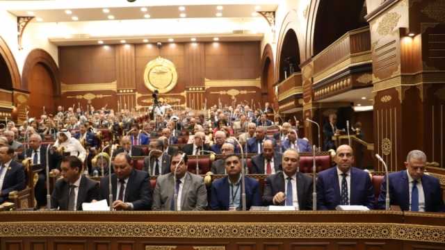 «الشيوخ» يناقش طلب مناقشة حول المناطق الصناعية بقناة السويس اليوم