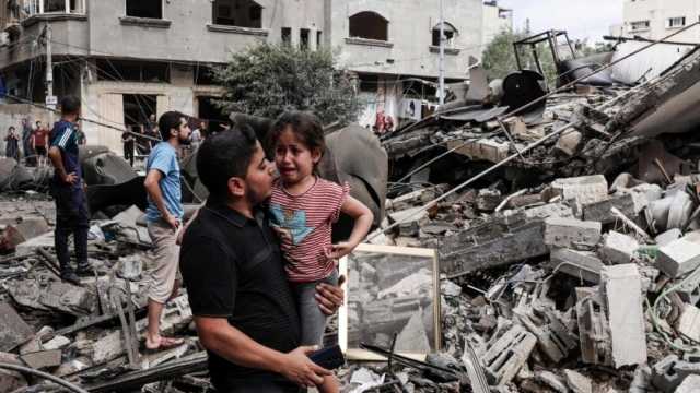 «برلمانية الوفد»: لا استقرار في الشرق الأوسط إلا بإقامة فلسطينية مستقلة