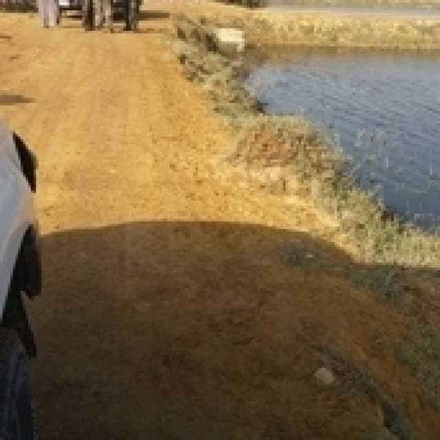 «سياحة بيئية واستثمار مربح».. «الفيوم» أكثر المحافظات جذبا لمحبي «الطيور المهاجرة»