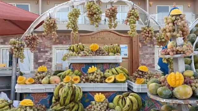 أسعار الفاكهة في الأسواق اليوم الاثنين 25-9-2023.. التفاح بـ22 جنيها
