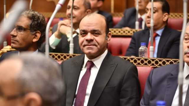 برلماني: على أمريكا احترام المجتمع الدولي وعدم الانحياز للاحتلال الإسرائيلي