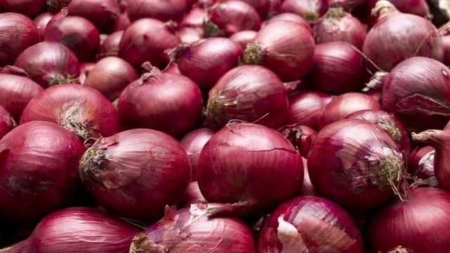 «كفر الشيخ» تعلن توفير البصل بأسعار مخفضة.. الكيلو بـ18 جنيها