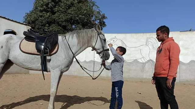 تدريب فروسية للأطفال في عاصمة الخيول بالفيوم.. «عارفك يا صغير السن خيال»