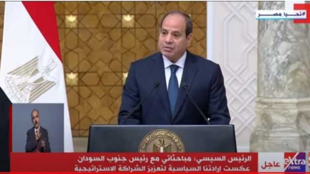 السيسي: مصر لم تدخر جهدا نحو الوقوف بجانب جنوب السودان رغم التحديات الاقتصادية الدولية
