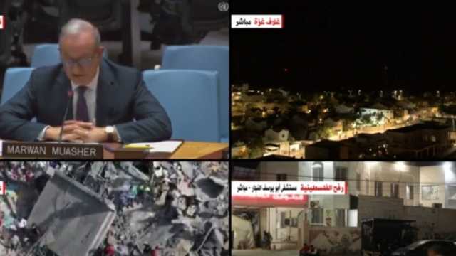 وزير الخارجية الأردني الأسبق: عمان والقاهرة نجحتا في وقف تهجير الفلسطينيين